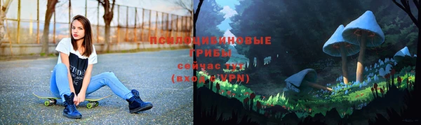 spice Волоколамск