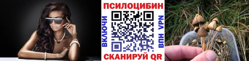 купить   Донецк  Псилоцибиновые грибы Psilocybe 